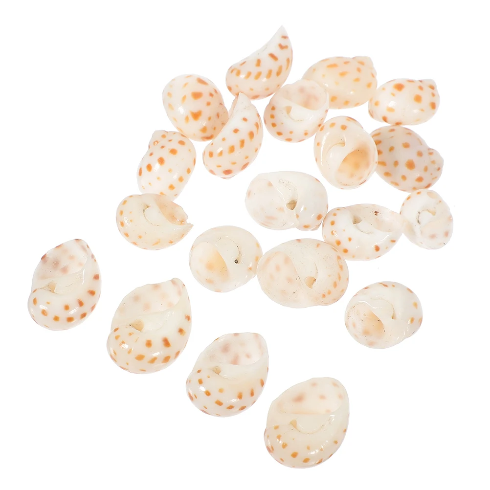 

30pcs DIY Flower Dot Snail Shells for Fish Tank Aquarium Conch Decor Exquisite Conch Adorn Micro L naments H Toys