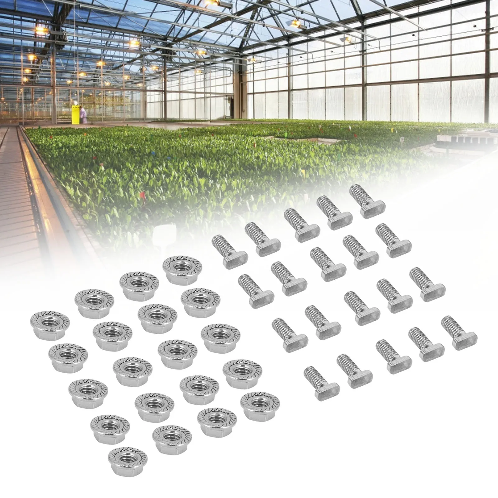 20 Set 304 Stainless Steel M6 Screws with Flange Nut Fasteners Hardware Greenhouse Supplies Greenhouse Supplies M6 Screw Screws