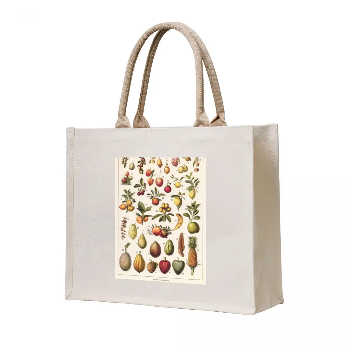 

Adolphe Millot - Fruits exotiques - French vintage botanical illustration Tote Bag cute pouch bag eco pack tote bag woman