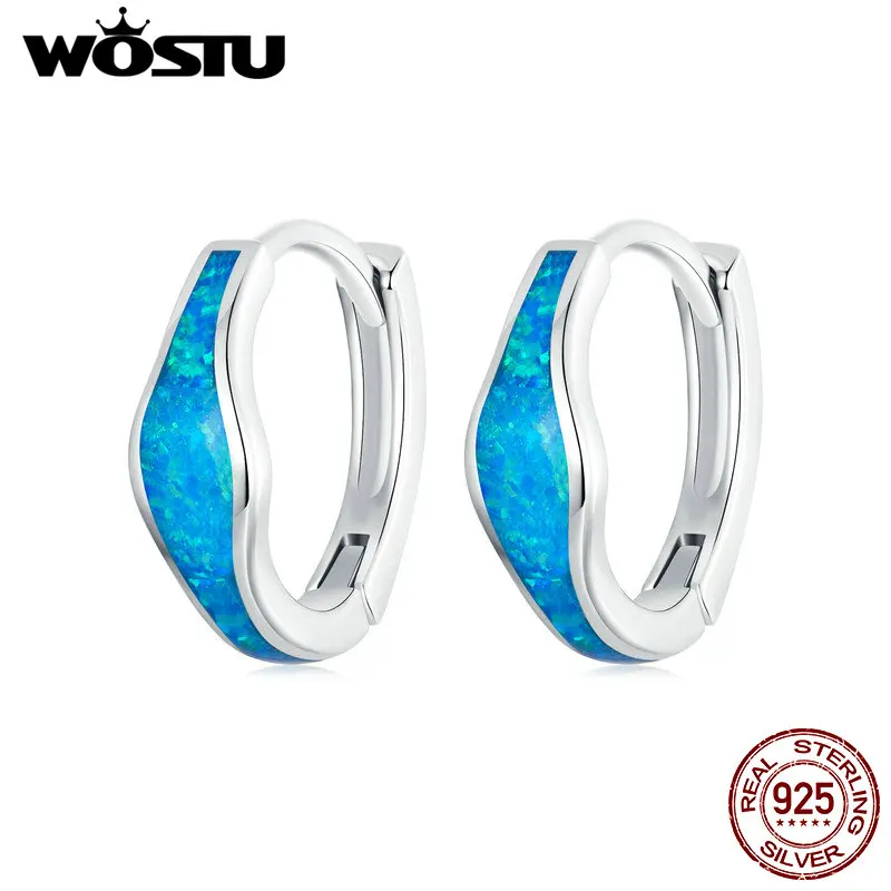 WOSTU 925 Sterling Silver Heart Opal Earrings Women Blue Opals Simple Geometric Ear Buckles Wedding Party Jewelry Gift For mom