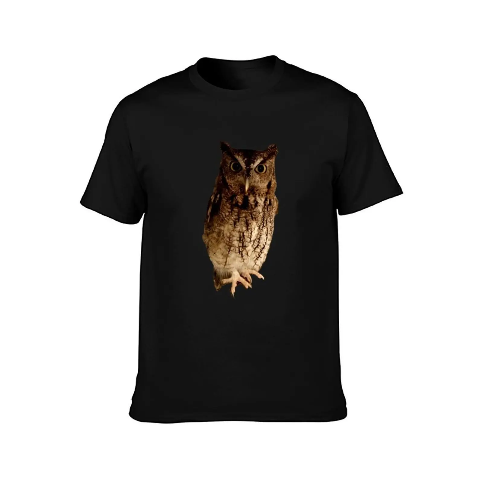 Eastern Screech Owl T-Shirt Gym Exercise Short Sleeve T-Shirt