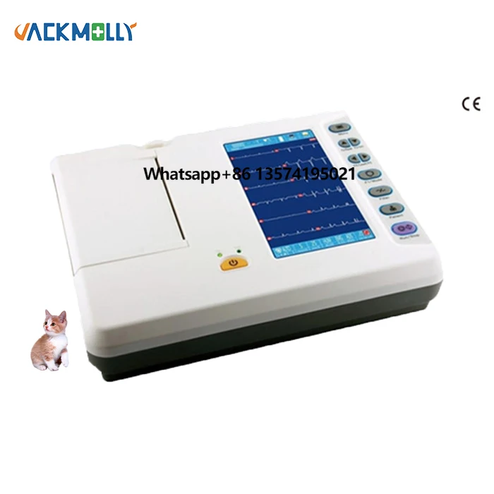 

JM-8062 Hotsale ECG EKG Machine Good Price 7 Inch Touch Screen Electrocardiograph Machine 6 Channel 12 Lead Touch Screen