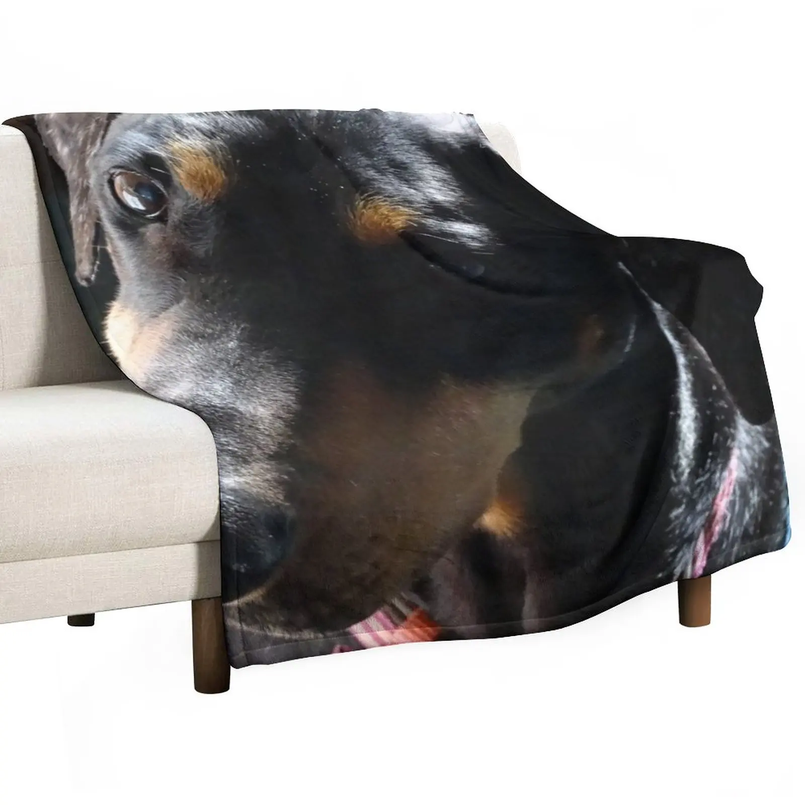 Doberman Tilt Throw Blanket valentine gift ideas Cute Blanket Hair Blanket