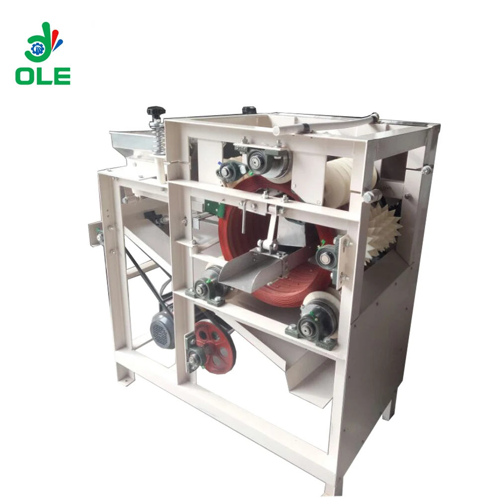 200-250kg/h Commercial Blanched Peanut Peeling Machine