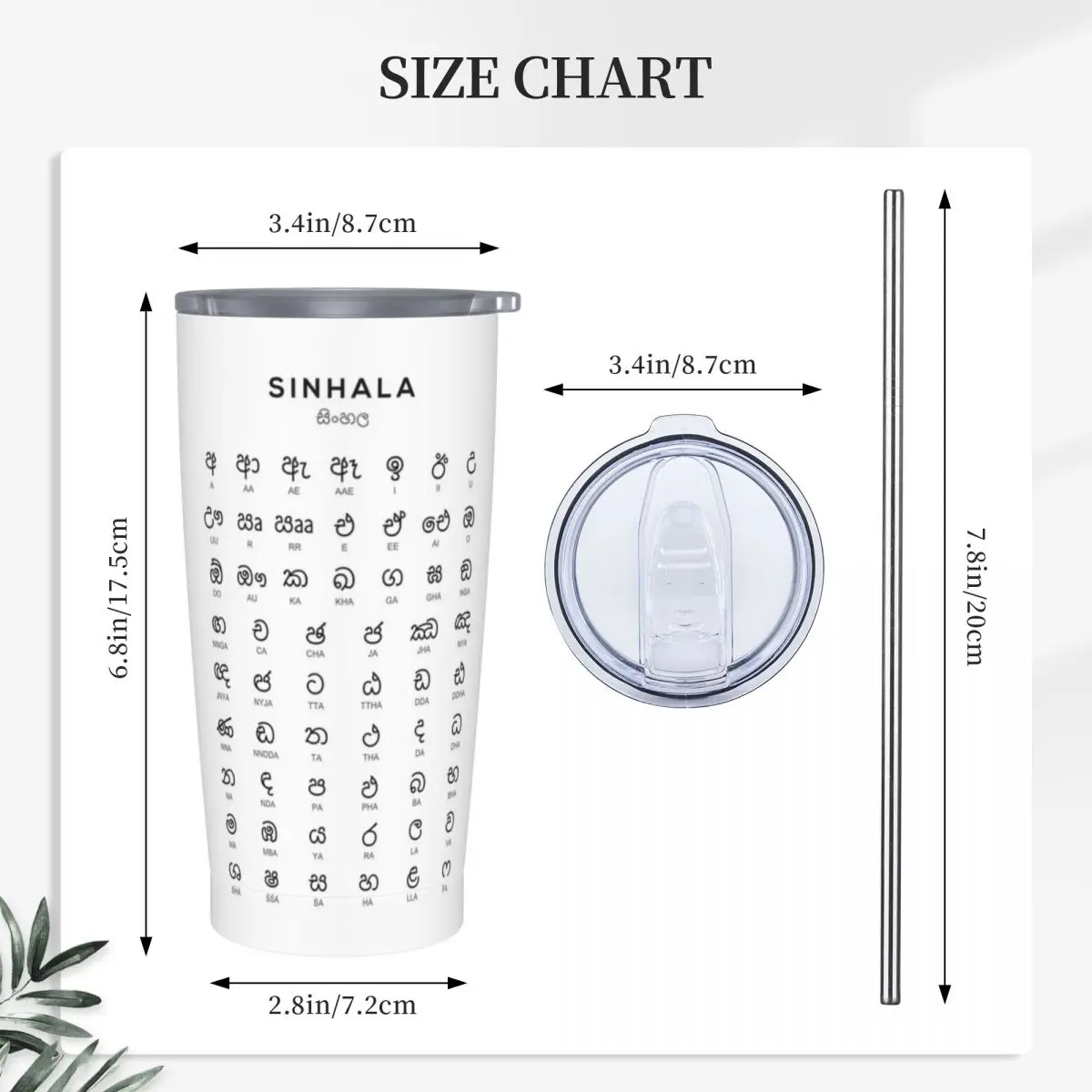Sinhala Alphabet Chart, Sinhalese Language Learning Chart Stainless Steel Tumbler Vacuum Mug Thermal Cold Cup Straws With Lid