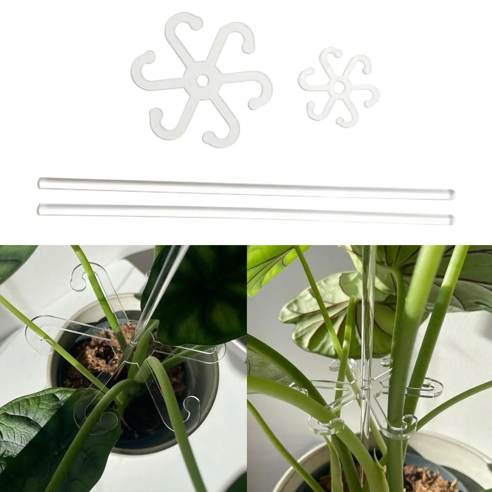 2 Pieces Plant Support Stakes Plant Stem Support Sticks Multifunctional Plant Stakes for Houseplant Greenhouse Vegetables