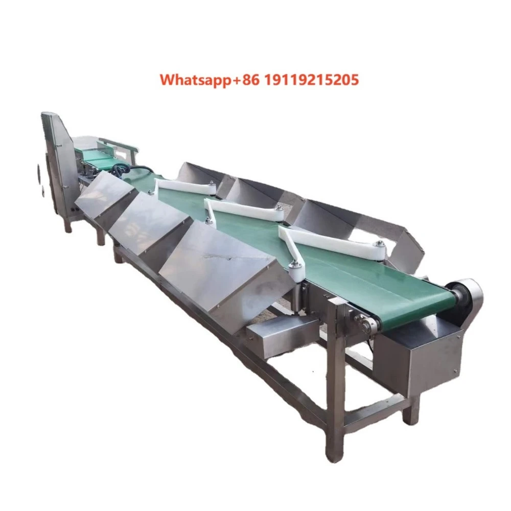 Automatic Chickens Weight Sorting Machine Grading Machine Weight Conveyor Belt Sorting Frozen Fish Sorting Machine Price