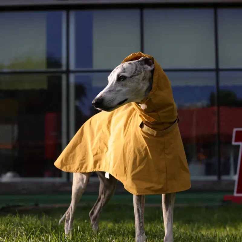 Lightweight Pet Dog Raincoat for Italian Greyhound Whippet, Waterproof Adjustable Buckle Dog Rain Poncho, Sighthound Dogs Cape