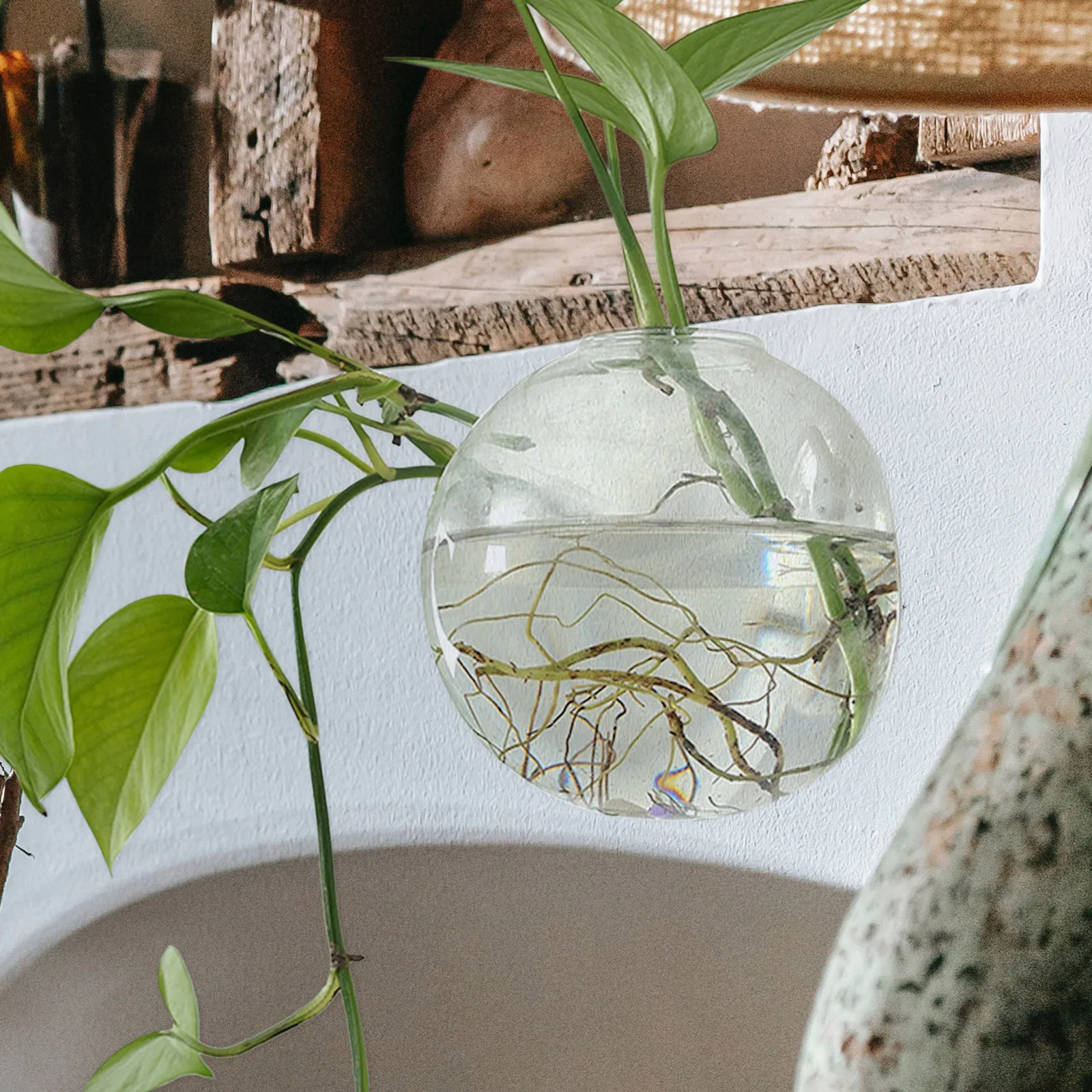 

Glass Planter Bottle Wall Mounted Vase Hydroponic Test Bottle Simple Look Suitable for Plants Wall Hanging