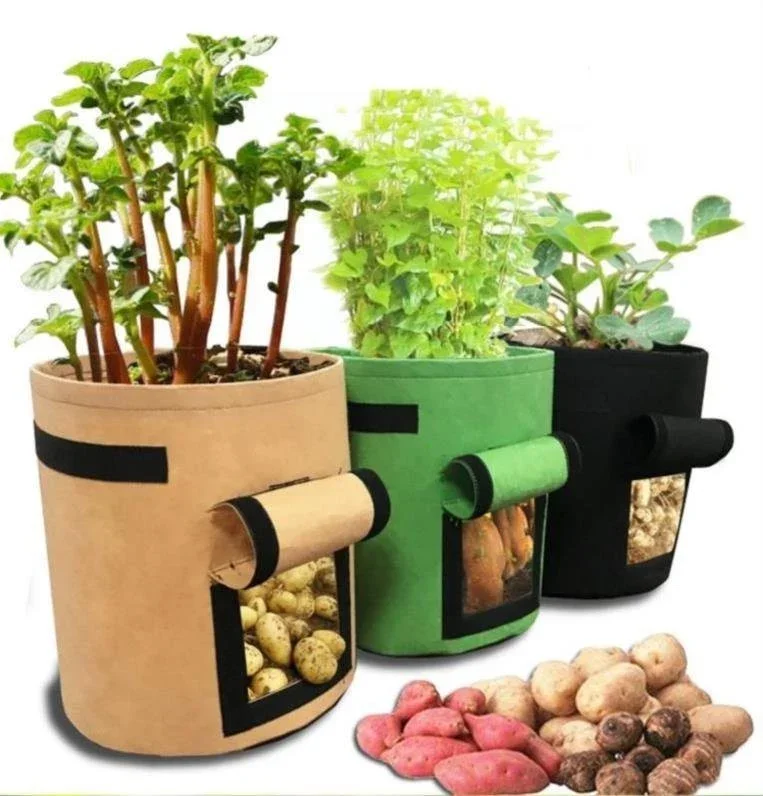 Peanut sweet potato taro planting bag, family balcony vegetable planting box, root-controlled vegetable flower pot