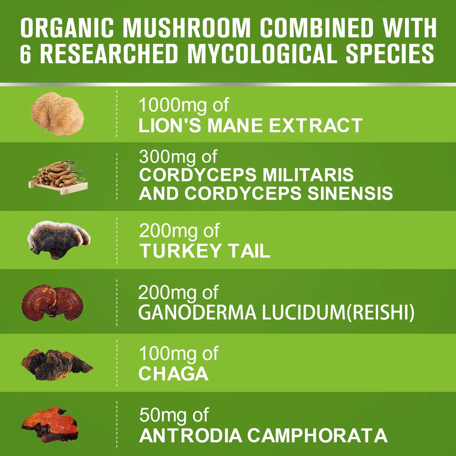 Beworths Lion's Mane Mushroom Capsules Memory,Focus Clarity Support Immune Health Relief Stress Better Mood