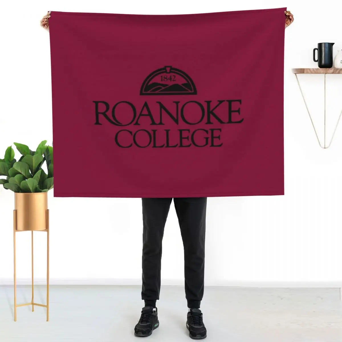 

The Roanoke Throw Blanket Ultra Plush Cozy Blanket for Napping Sleeping