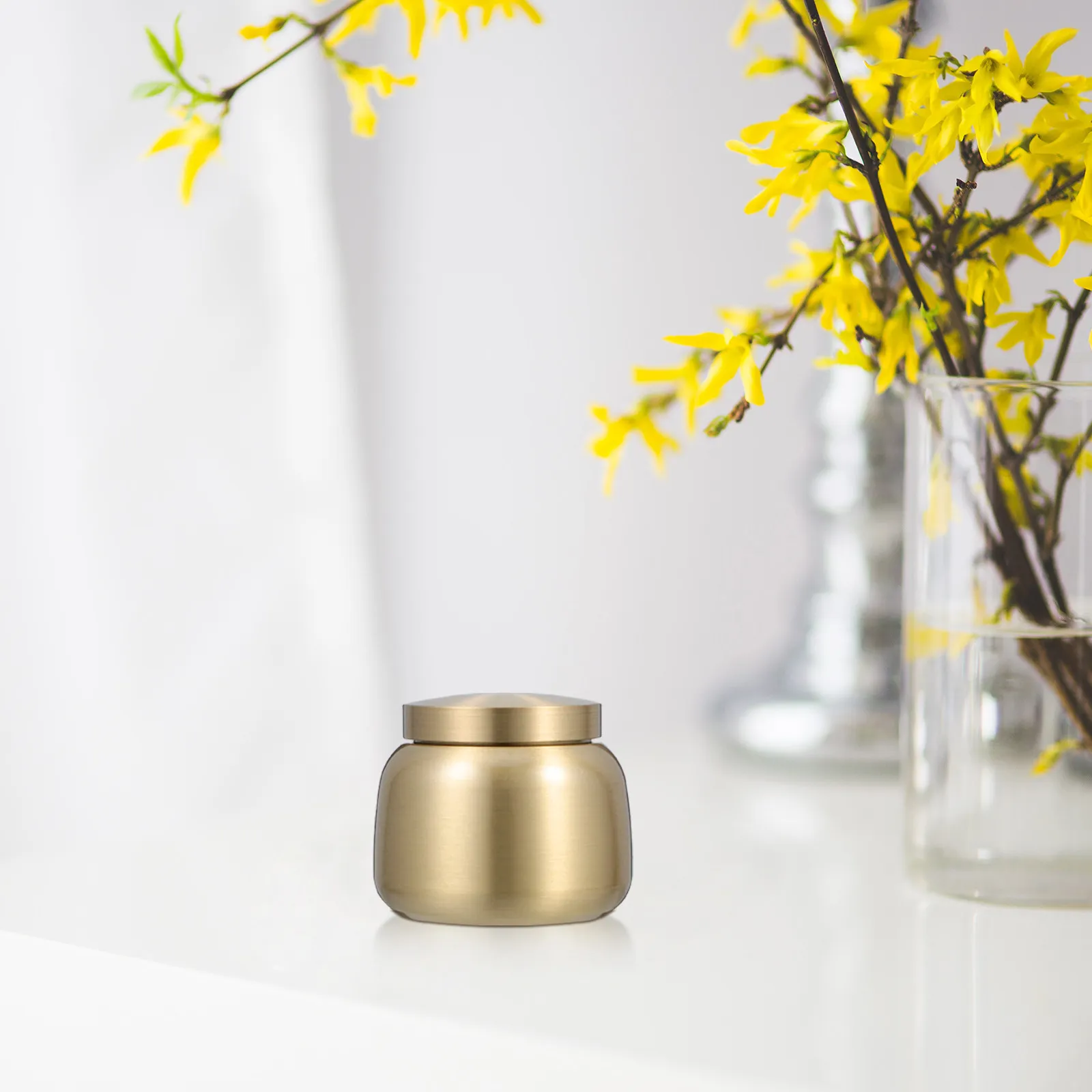 Brass Bone Ashes Urn Small Keepsake Compact Sealed Storage Cremation Container for Human Pet Memorial Decorative