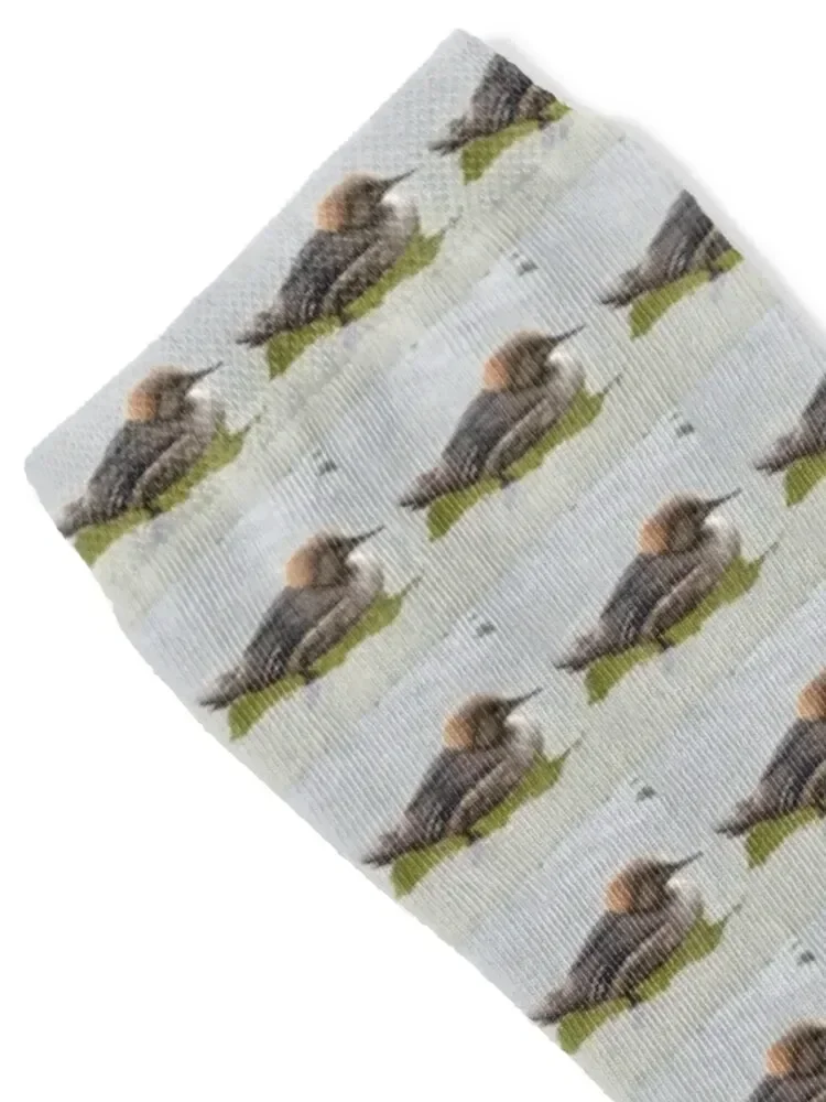 Female Hooded Merganser Duck Photograph Socks Stockings man Heating sock floor cute Socks For Women Men's