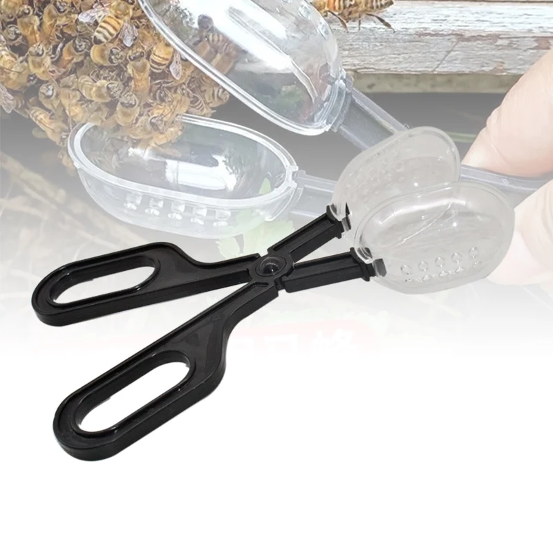 

Beekeeping Queen Bee Catcher Cage Bees Marking Catchers Clip Plastic Queen Cage Beekeeper Apiculture Tool