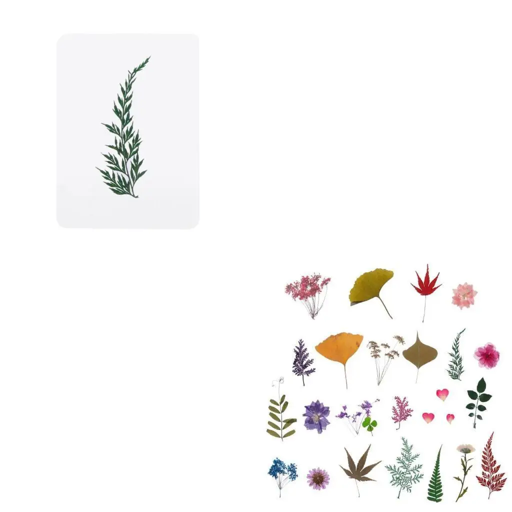 

9HJK Высушенные наполнители наполнителя для наполнения листья для ремесленных украшений