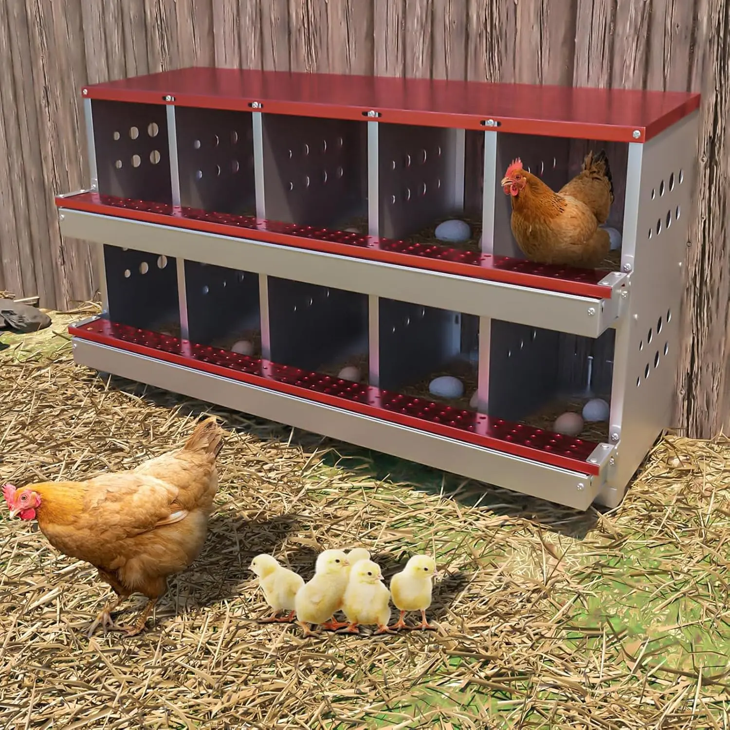

Куриный гнездовой ящик на 10 отсеков, выдвижной, для несушек, из сверхпрочной оцинкованной стали, с передним поддоном для сбора яиц