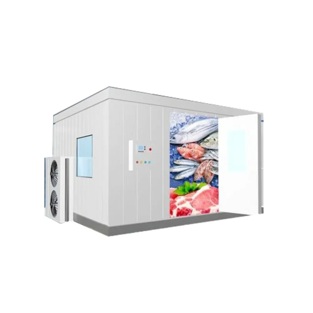 

Meat Seafood Beef Chicken Vegetable Fruit Walk in Container Freezing Freezer Cold Room