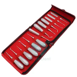 T Lab Instruments Luxating Lift ElevatorS Teeth Set of 13 Pieces CouplandS CrossbarS Cryer Straight Stainless Steel
