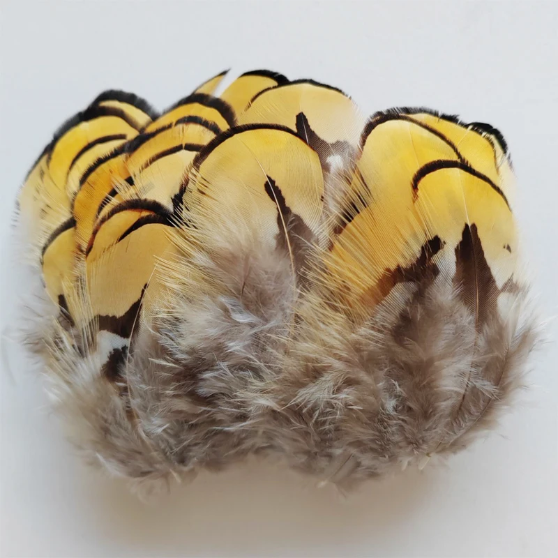 REEVES Pheasant Feathers,100PCS/LOT!6-8cm Yellow Reeves Pheasant BODY Feathers for Fly Tying, Millinery,Natural Feathers