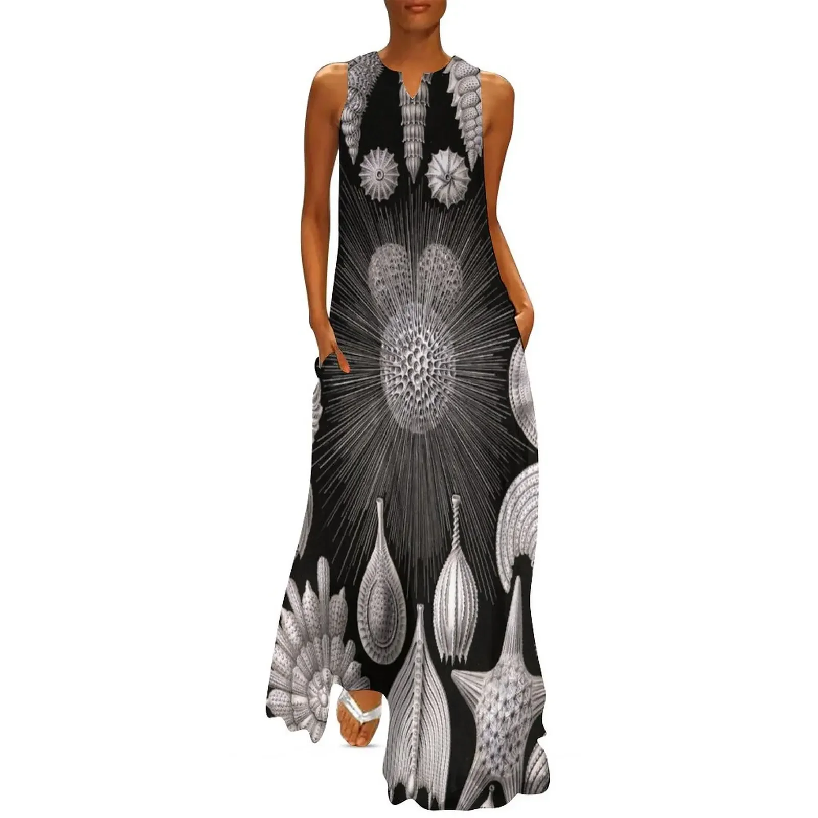 

Thalamophora (Foraminifera: Foraminifers - A protozoan) - Ernst Haeckel Long Dress Party dresses for women prom clothes Dress