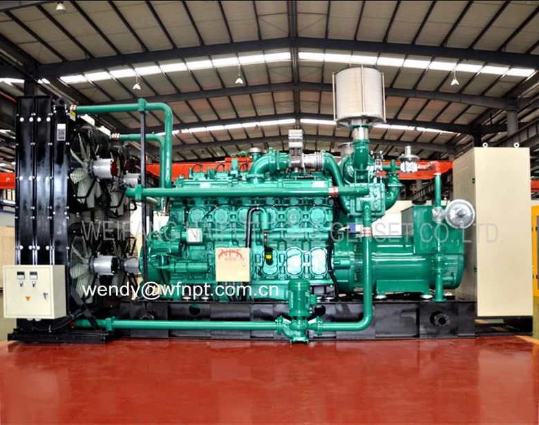 Generatore di corrente del motore a gas del Biogas della biomassa del Gas naturale di 300kw 400kw 500kw