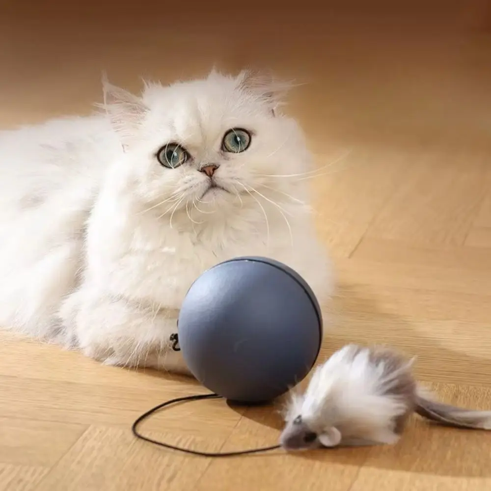 

ABS Automatic Electric Cat Interactive Simulated Tail Automatic Rolling Ball Moving with Mouse Cat Ball Toys Birthday Gifts