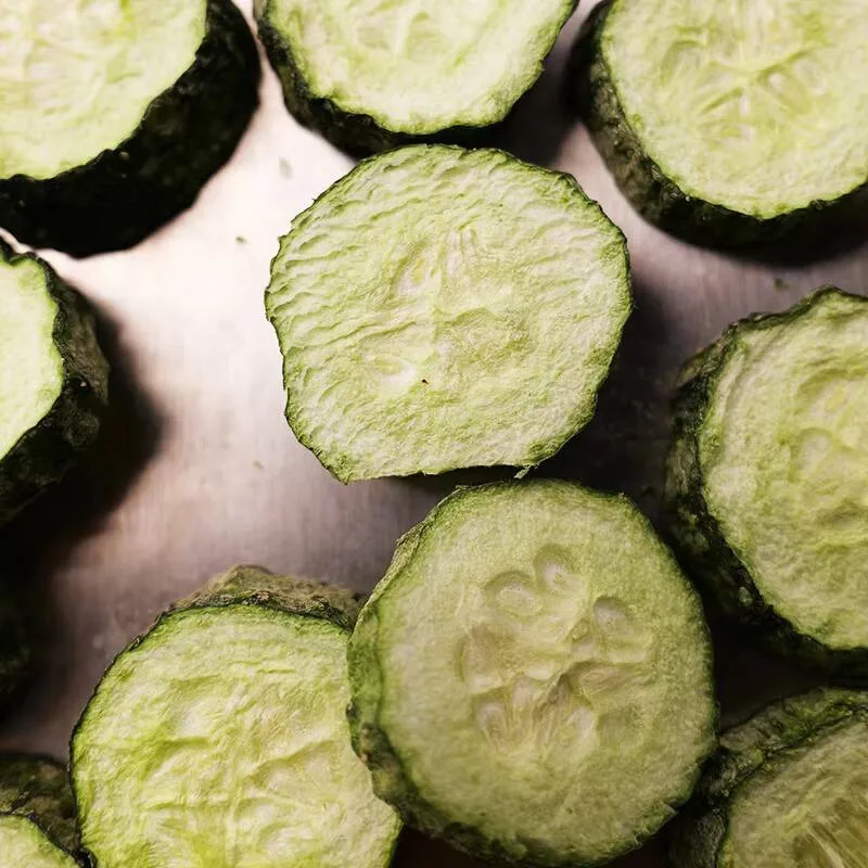 

4Kg Drying Small Mini Home Lyophilizer Vacuum Freeze Dryer Machine For Food Fruit Candy Cold Brew Coffee Milk Flowers