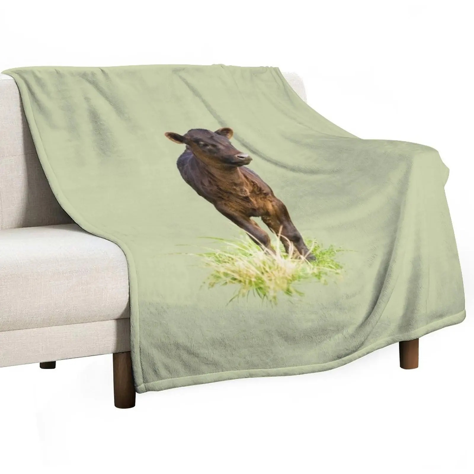 Standing Dexter Cow Throw Blanket Soft Plaid Comforter Luxury Designer Single Thermal Camping Blankets