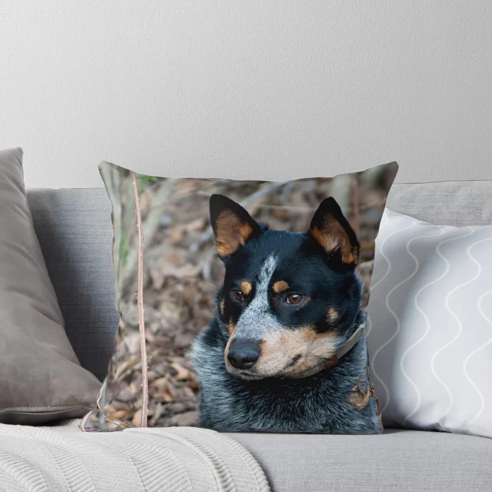 

Blue Healer Friend Throw Pillow Christmas Pillowcase Christmas Pillow Covers Cushions Cover ornamental pillows pillow