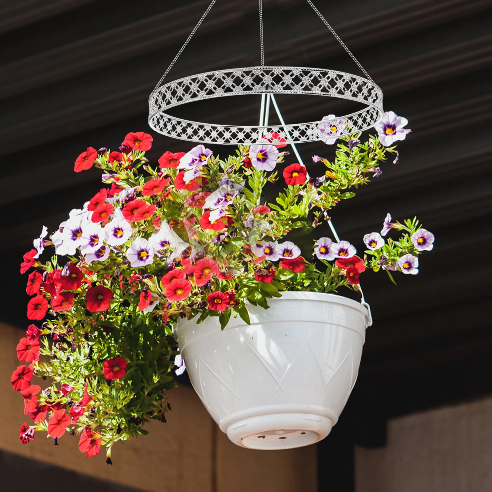 

Multifunctional DIY Air Plant Hanger Ring 25cm Elegant Green Plant Holder Party Decorative Accessories Metal Hanging Device