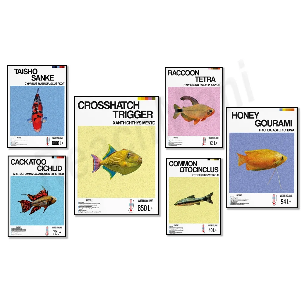 Pez ornamental, pez de gatillo Crosshair, pez Tetra, pez Taisho, pez Otocinclus, pez de calabamo de miel, cartel de información de peces