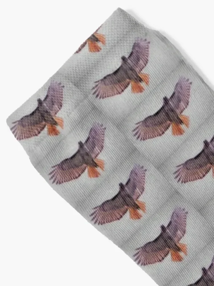 Purple Red-Tailed Hawk Socks cartoon loose winter gifts Socks Girl Men's