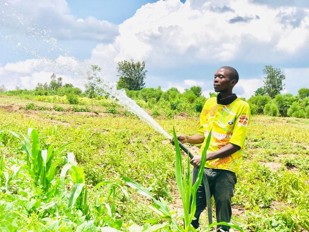 

7,5 л.с. погружной ирригационный насос высокого давления 240 м на солнечной энергии для глубоких скважин, солнечный спринклерный насос из нержавеющей стали и контроллер