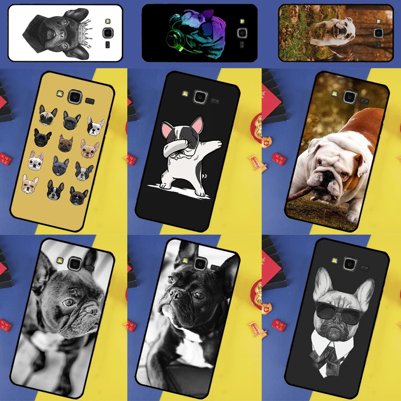 French Bulldog For …