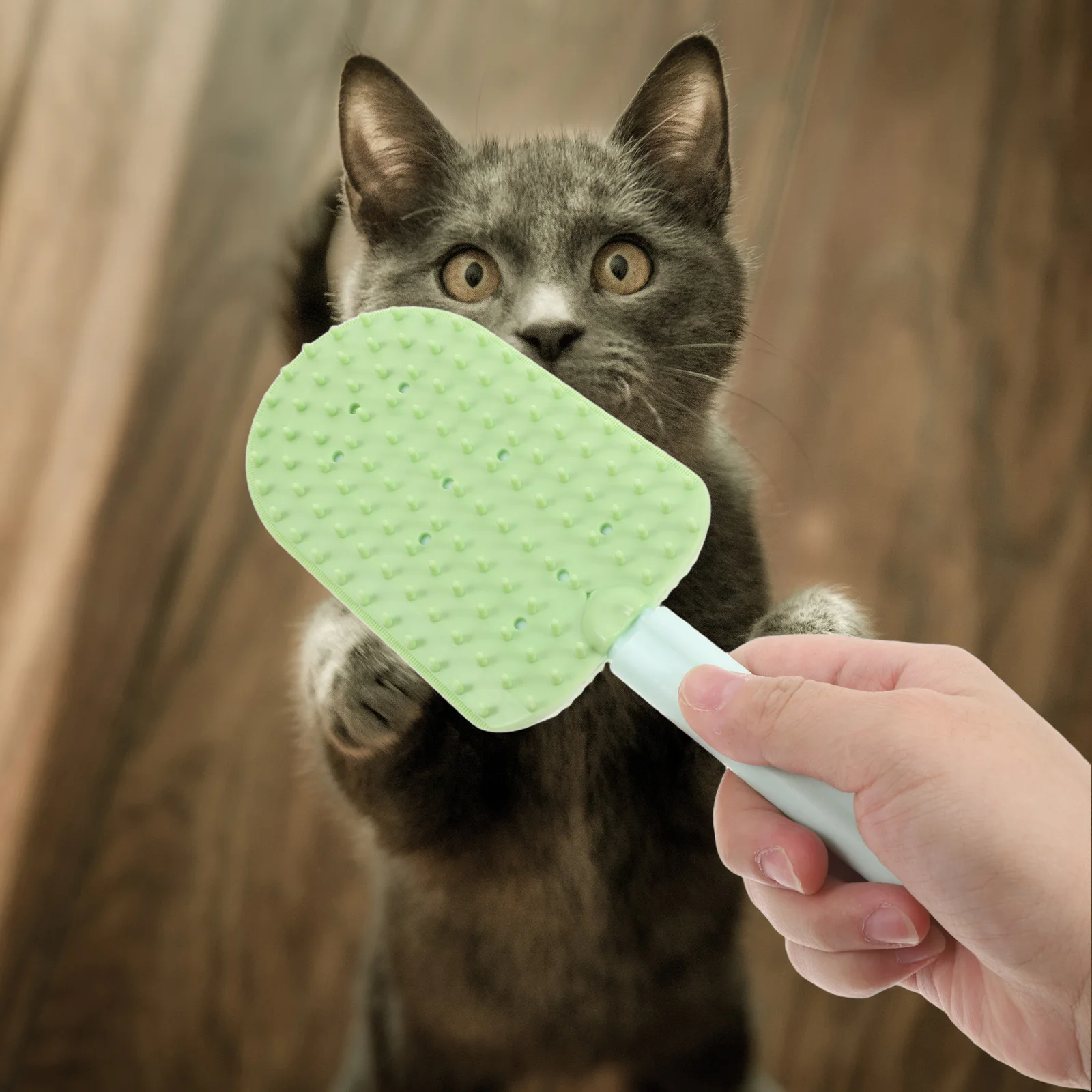 

3pcs Cat Grooming Brush For Long Short Haired Cats Shedding Removal Tool Dual Sided Washable Comb Pet Hair Reduction Indoor Use