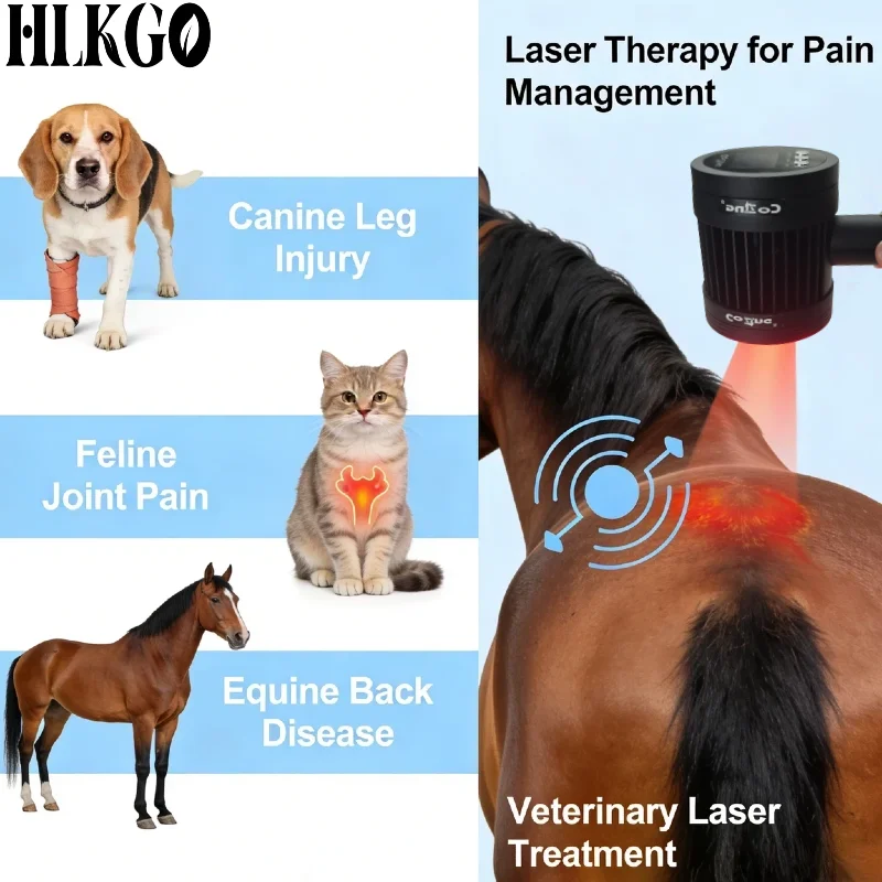 

Усовершенствованный лазер IV класса мощностью 1295 мВт для собак, кошек, лошадей, 19x650 нм, 6x808 нм для лечения IVDD, дисплазии тазобедренного сустава, тендинита, заживления ран