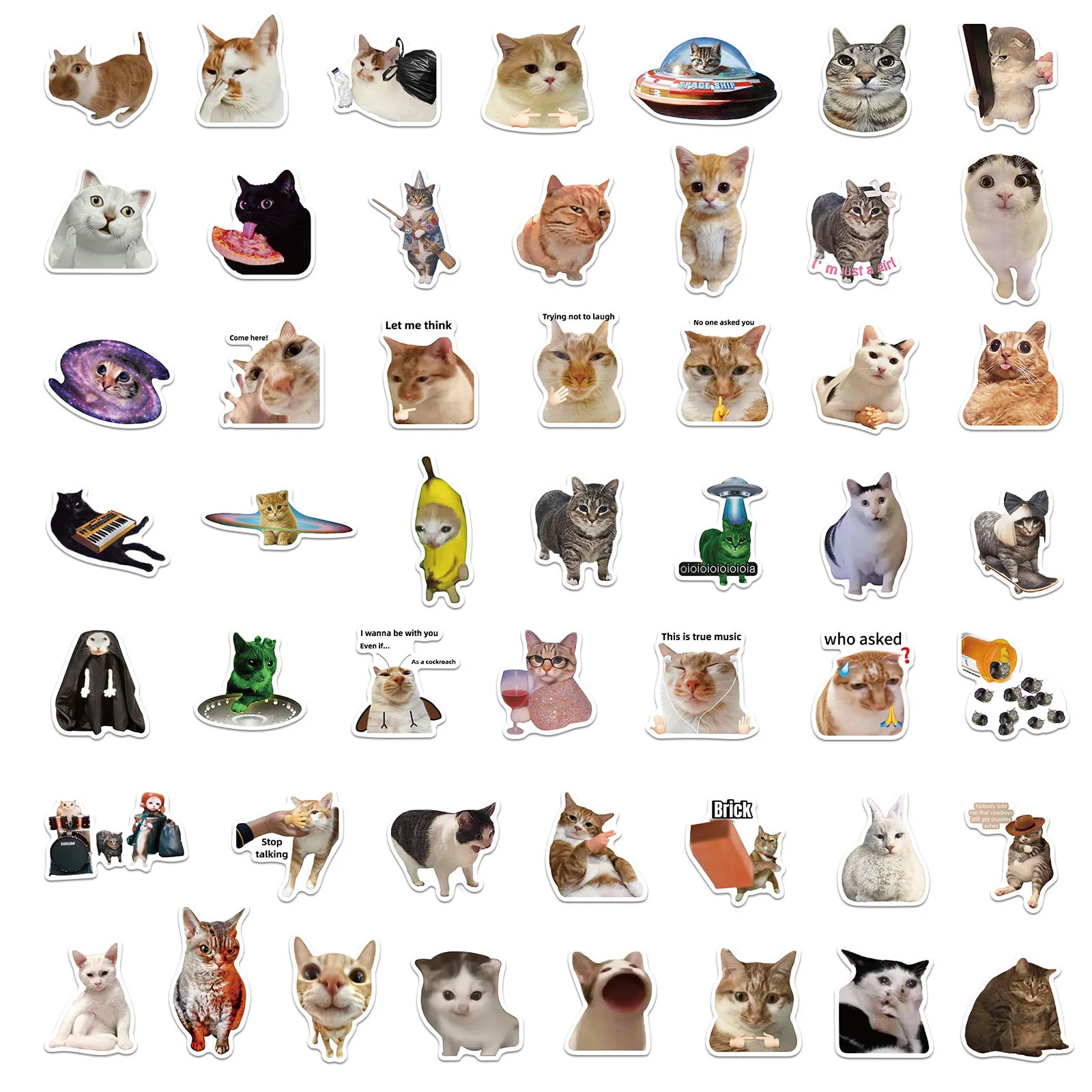 50PCS Creative Network Popular Cat Meme Collection Hand Account DIY Graffiti Stickers Water Cup Skateboard Stickers Toys image 3