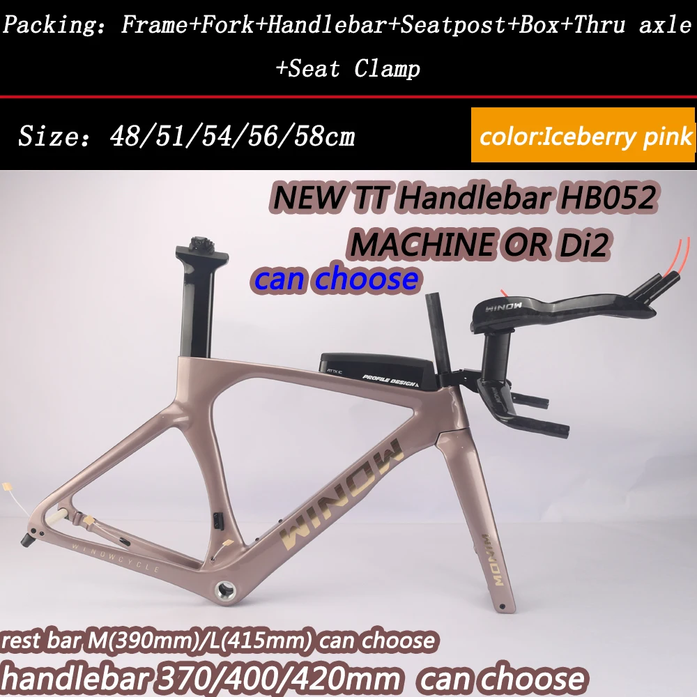 FINTOWON TT119 Carbon Fiber TT Frame 54cm