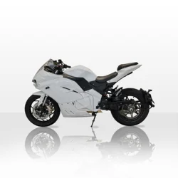 Longest Range 240Km Fat Tire 3000W Chain 8000W Belt Central Motor ELectric Motorcycle