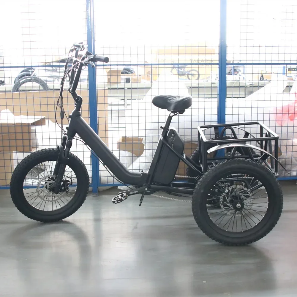 48V 15Ah Lithium Battery Aluminum Alloy Frame E-Tricycle 1000W Motor Electric Tricycle best three wheel electric bike