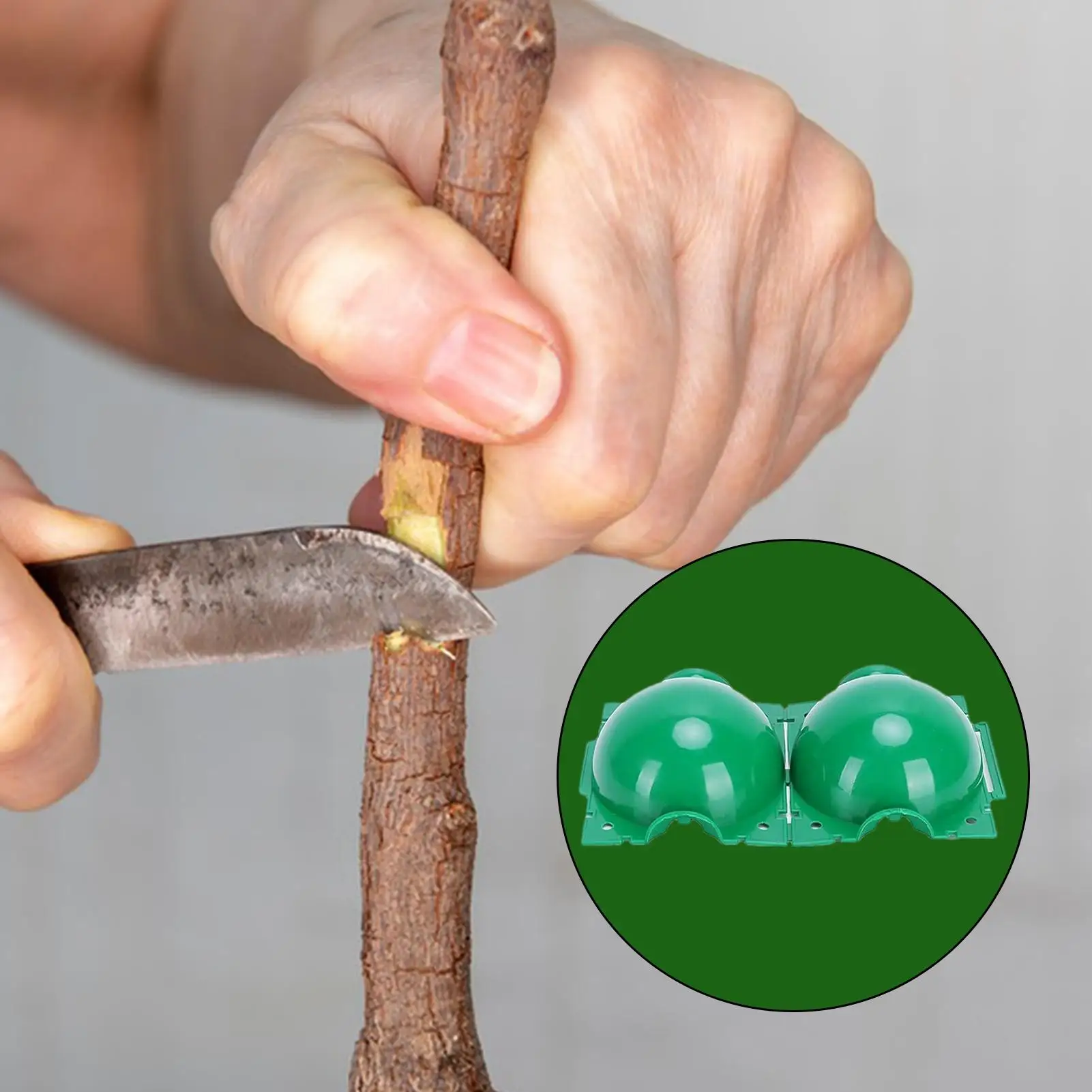 

10Pcs Small Marcottage Balls, Automatic Buckle Air Layering Pods With Drain Holes For Home And Yard Backyard Farm