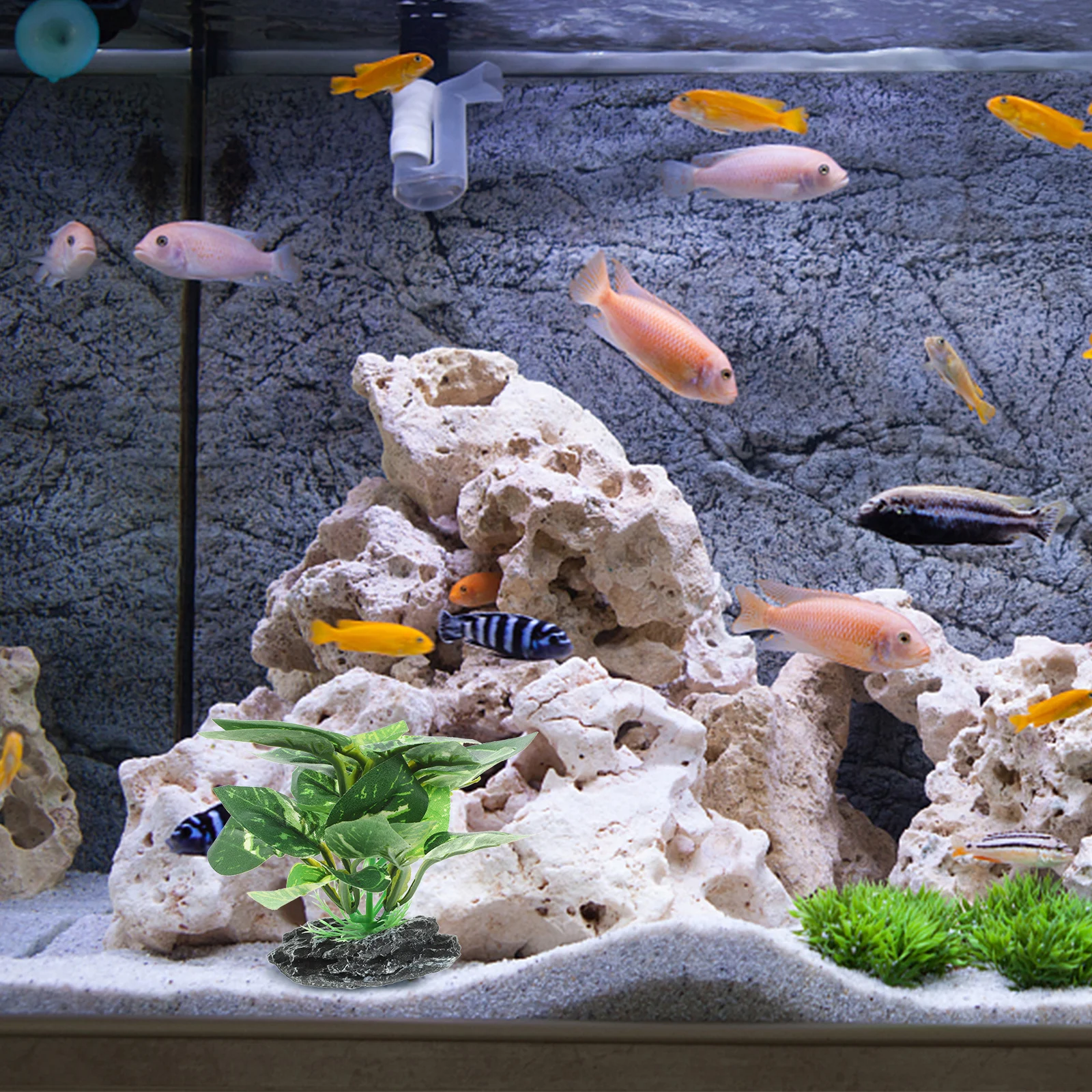 

Simulation Plant Ornament For Fish Tank Decoration Premium Plastic Aquarium Plants Fake Aquatic Plants Decor Suitable For