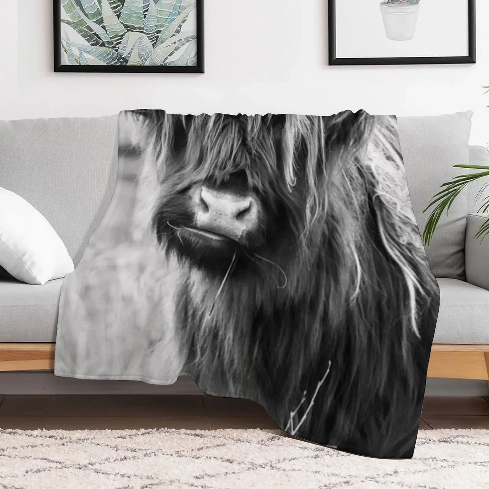 Highland Cow Portait, black and white Throw Blanket Stylish Decor Blanket Gift for Friends Roommate