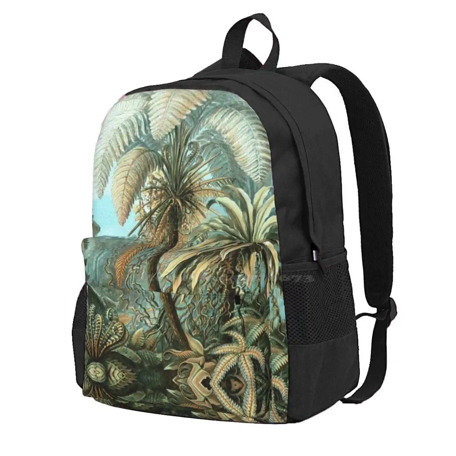 Botanical, Vintage, Ferns, Palm Trees, Rainforest Hot Sale Schoolbag Backpack Fashion Bags Ernst Haeckel Botanical Vintage