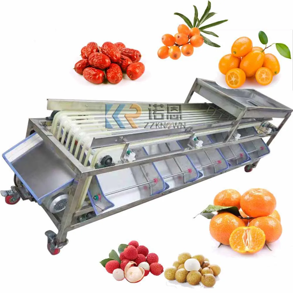 

9 Channel Automatic Round Shape Vegetable Sorting Grading Machine Cherry Tomato Fruit Sorter Grader