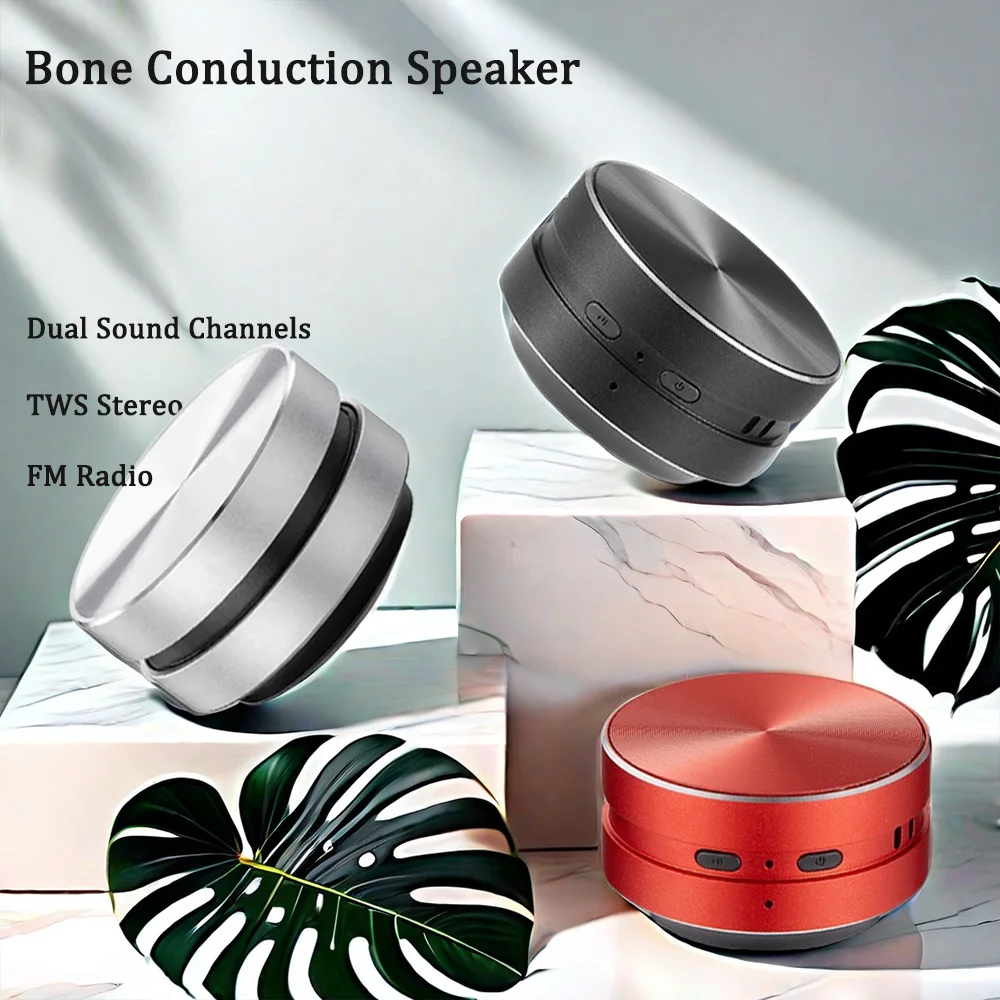 Hot Hummingbird Bone Conduction Speaker With FM Radio Bluetooth-Compatible TWS Wireless Stereo Dual Sound Audio Box Mini Speaker