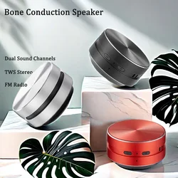 Hot Hummingbird Bone Conduction Speaker With FM Radio Bluetooth-Compatible TWS Wireless Stereo Dual Sound Audio Box Mini Speaker