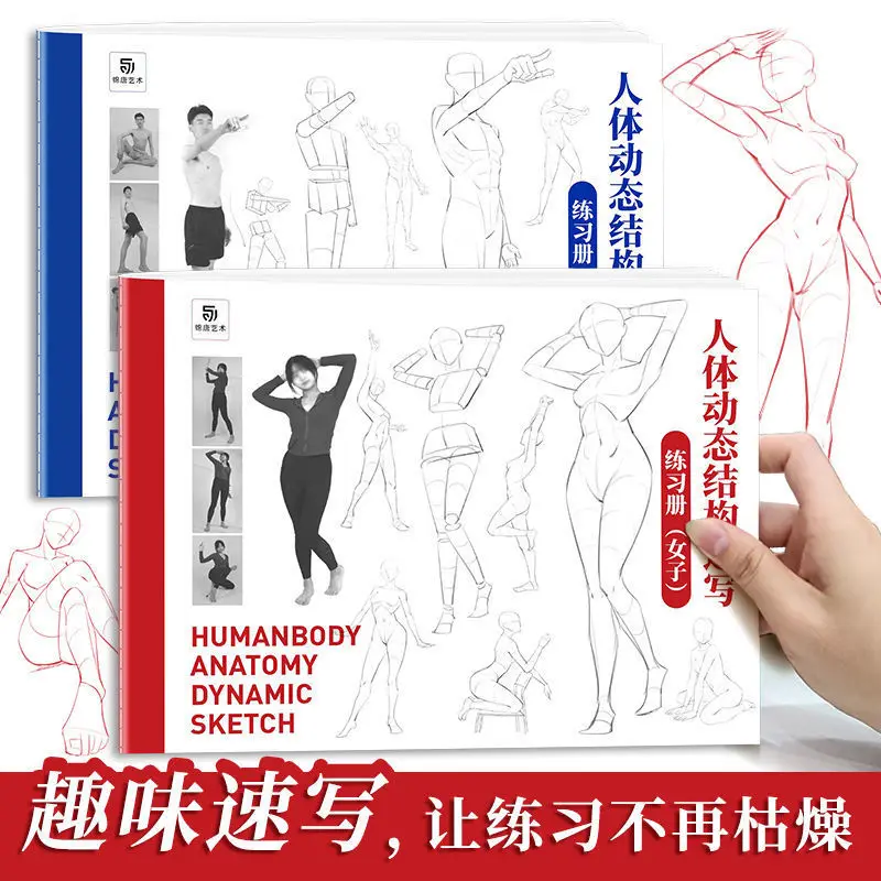 

Human dynamic Structure sketch workbook Sketch Sketch This art dynamic anatomy of the human body drawing course