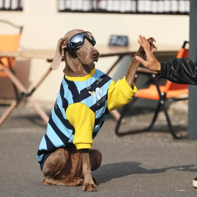 

Spring Autumn Dog Clothes for Large Dog Stripe Media Big Dog Hoodies with Goggles Cotton Soft Coat for Labrador Golden Retriever